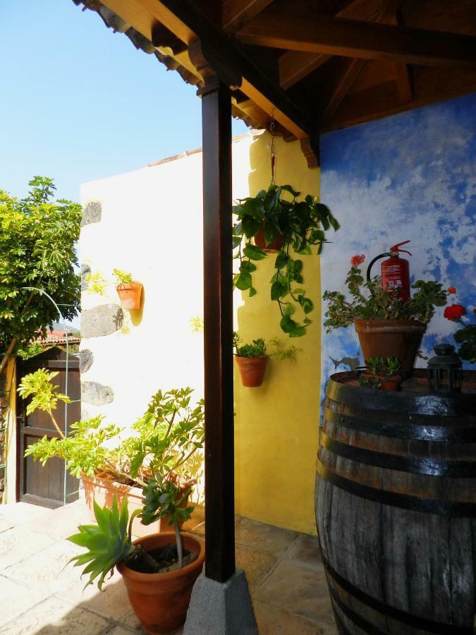 Finca Naturista Las Breveritas - Solo Adultos Icod De Los Vinos Exterior photo